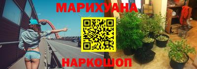 кокс Можга