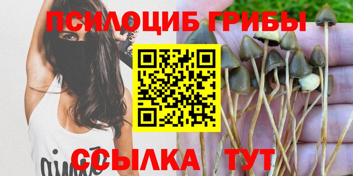 дарнет шоп  Галлюциногенные грибы Magic Shrooms  Вход с VPN  Усолье-Сибирское 