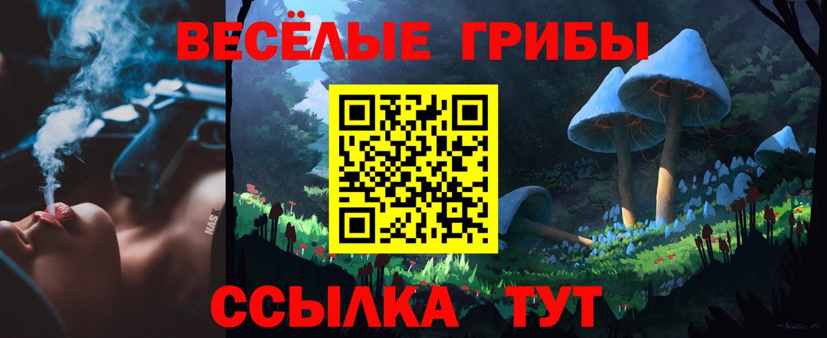 Галлюциногенные грибы Psilocybe Усолье-Сибирское